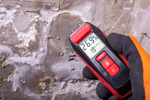 Best Mold Testing and Inspection Services in Helotes, TX